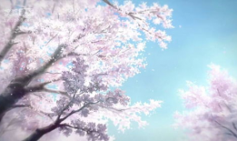 樱花动漫在线观看,畅享动漫盛宴，尽在指尖